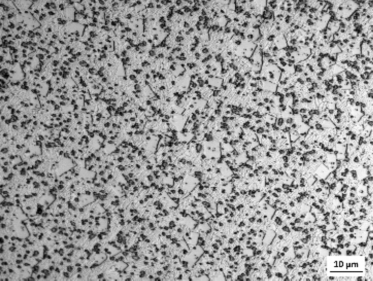 T168i_Microstructure